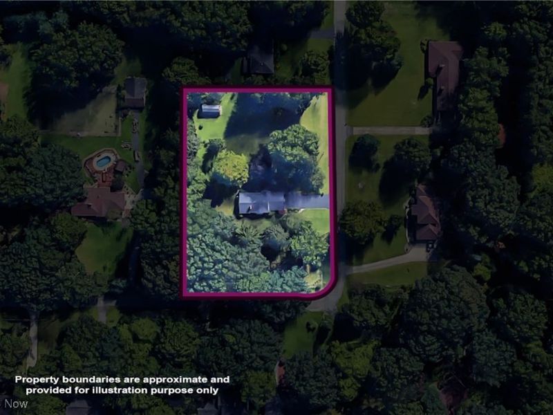 1558 Portal Drive NE, Howland, OH 44484 Photo 7