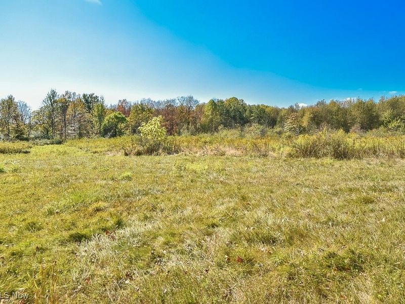 2111 Mechanicsville Road, Rock Creek, OH 44084 Photo 30