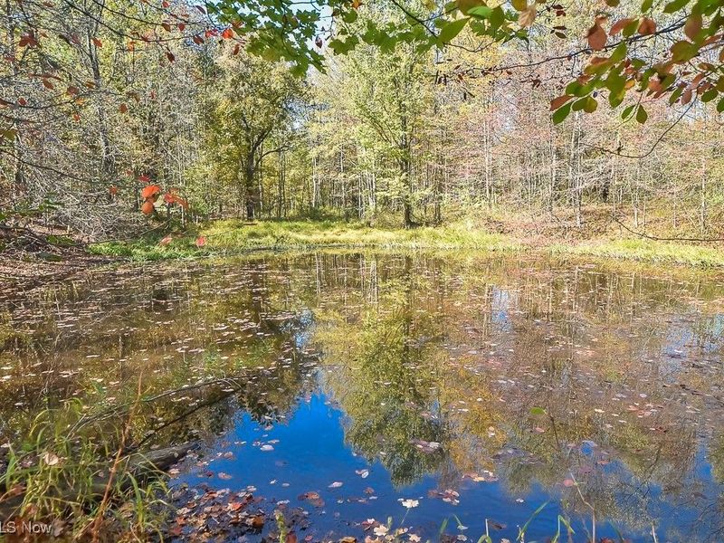 2111 Mechanicsville Road, Rock Creek, OH 44084 Photo 32