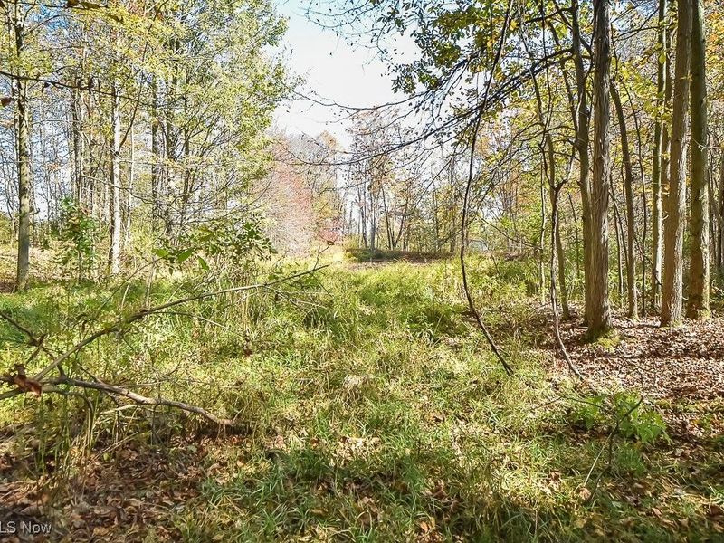 2111 Mechanicsville Road, Rock Creek, OH 44084 Photo 33