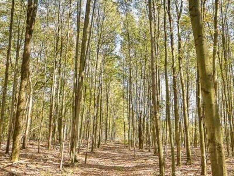 2111 Mechanicsville Road, Rock Creek, OH 44084 Photo 34