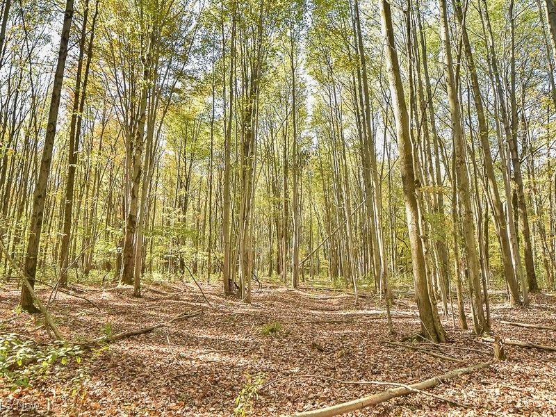 2111 Mechanicsville Road, Rock Creek, OH 44084 Photo 37