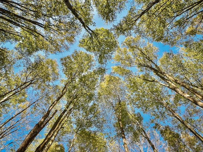 2111 Mechanicsville Road, Rock Creek, OH 44084 Photo 39