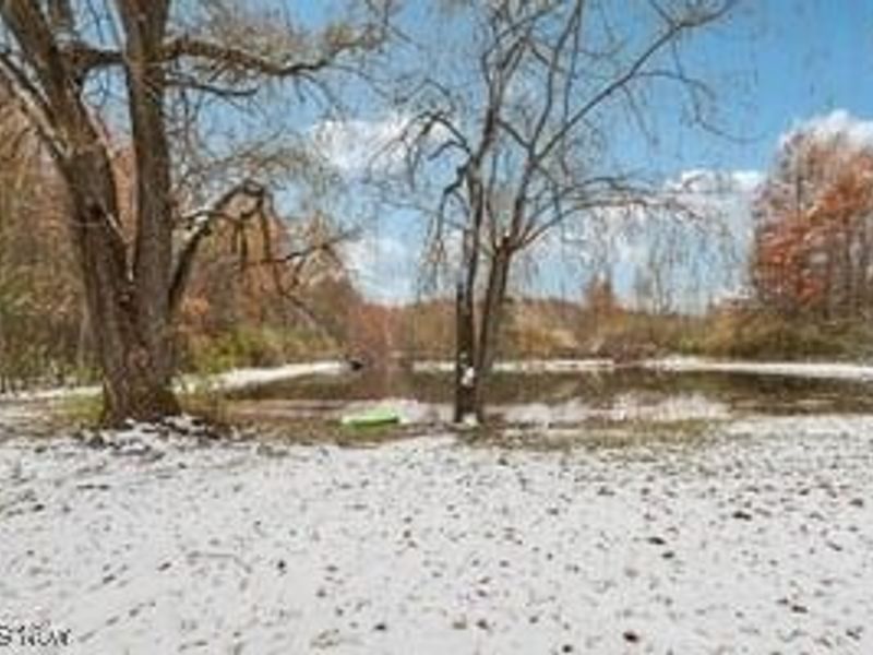 361 Mahan Denman Road NW, Bristolville, OH 44402 Photo 44