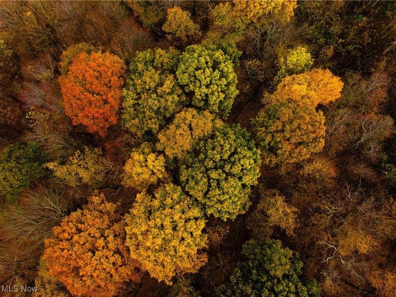 28170 State Route 30, Kensington, OH 44427 Photo 49