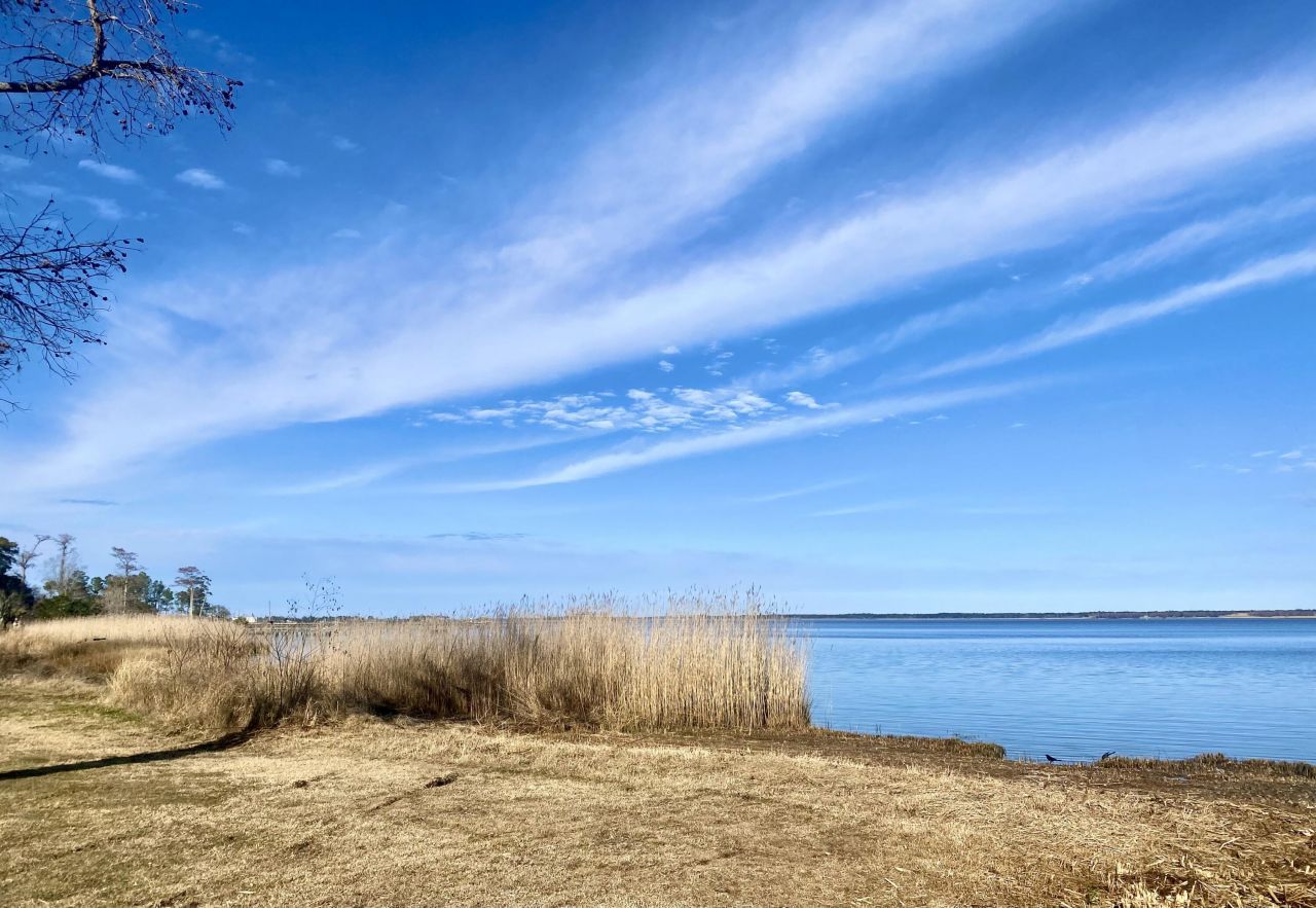 2664 Seaport Circle Photo 46