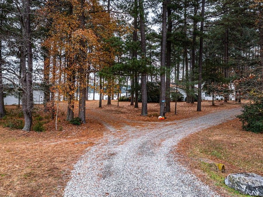 Property Image 60