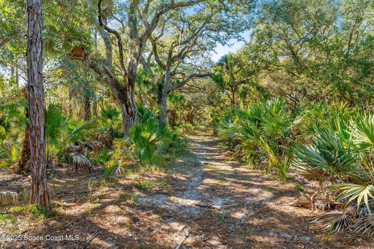 5585 Willoughby Drive, Melbourne, FL 32934 Photo