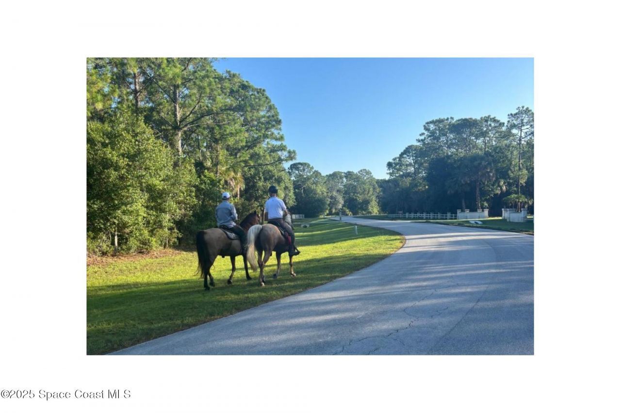 5585 Willoughby Drive, Melbourne, FL 32934 Photo