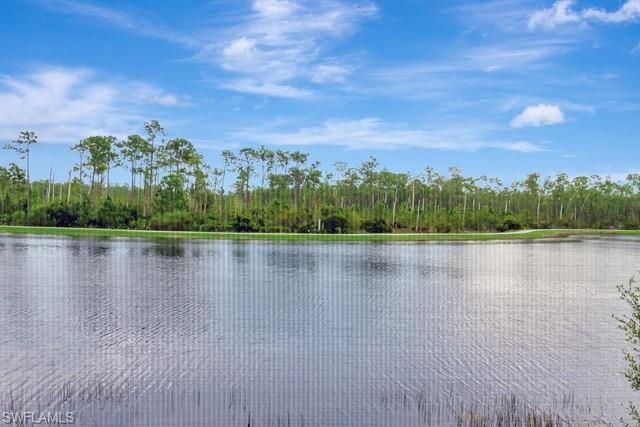 9637 Montelanico Loop, Unit 203, Naples, FL 34119 Photo