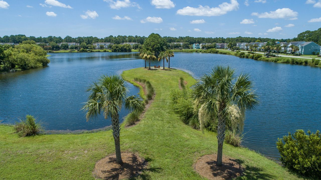 1695 Sparkleberry Lane Photo 76