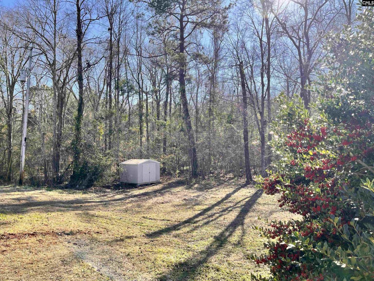 1207 Kennerly Road Photo 46