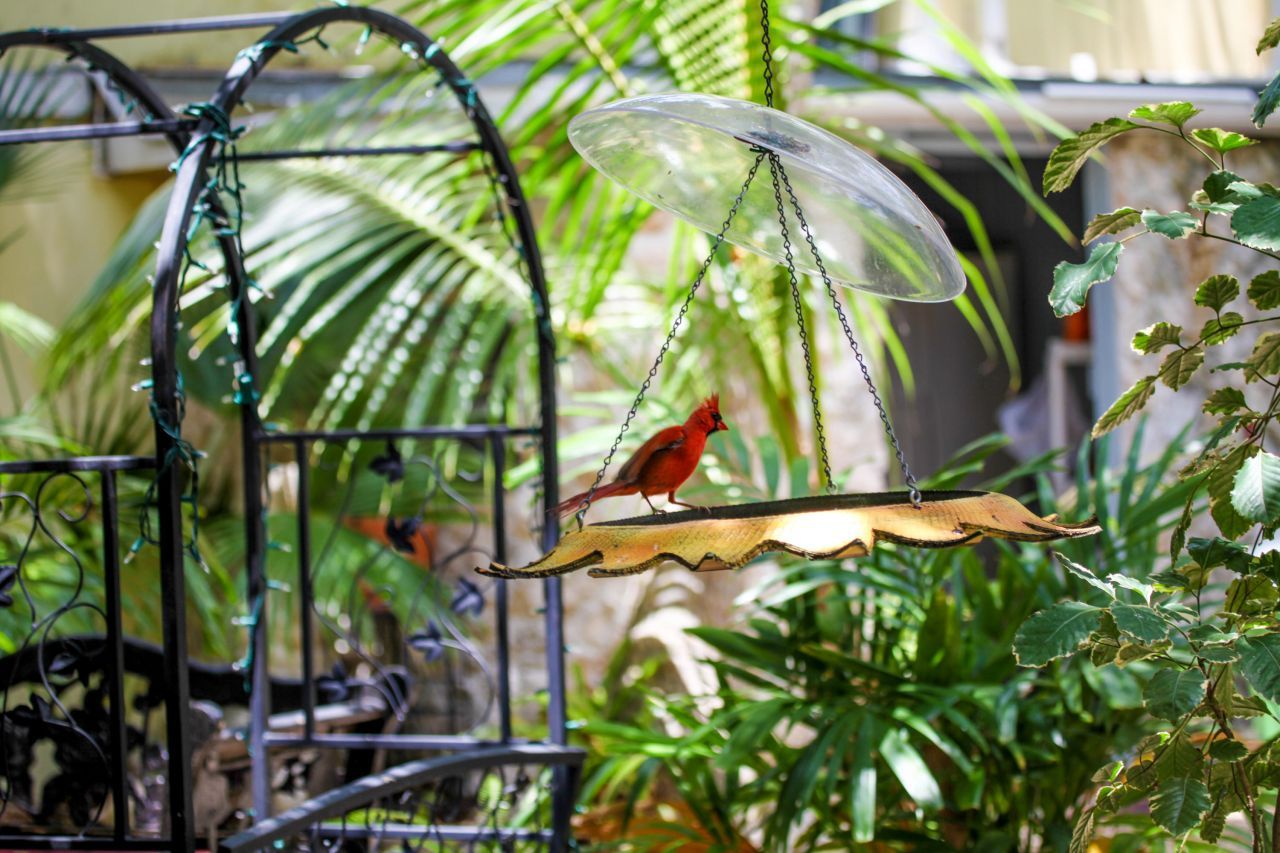 95480 & 90 Overseas Highway, Key Largo, FL 33037 Photo