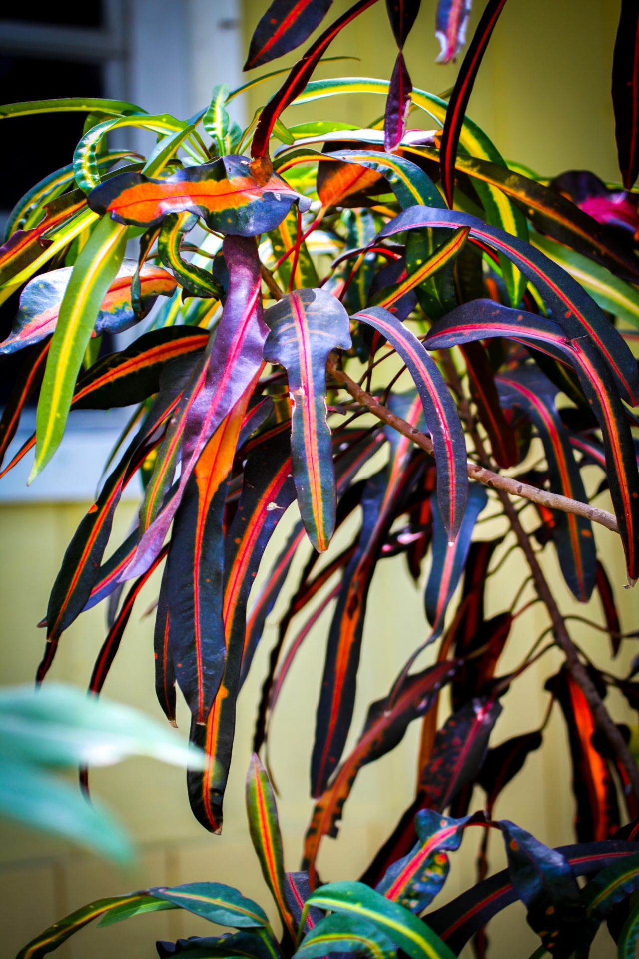 95480 & 90 Overseas Highway, Key Largo, FL 33037 Photo