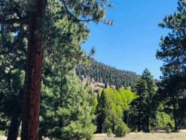 133 W Canyon View Drive, Antonito, CO 81120