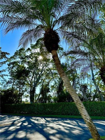 9828 Luna Cir, Unit H203, Naples, FL 34109 Photo