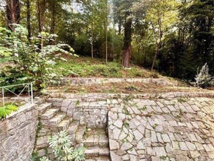 Property Image 74