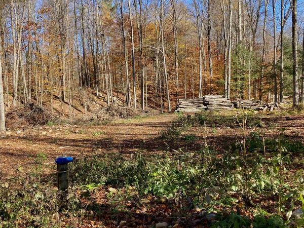 00 Lower Middle Road, Unit 11, Chittenden, VT 05763