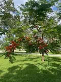 1720 Richard Ervin Parkway, Tarpon Springs, FL 34688 Photo