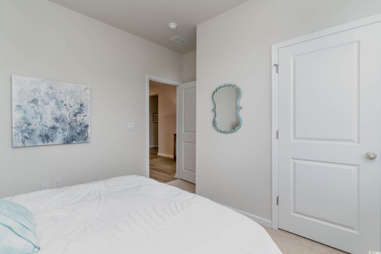 258 Ridley St Photo 17