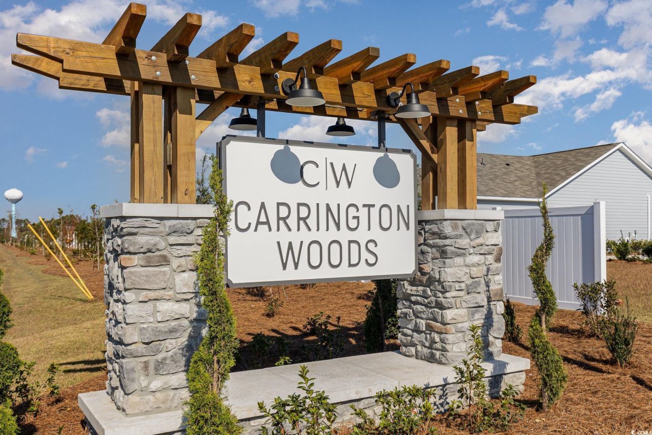 258 Ridley St Photo 24