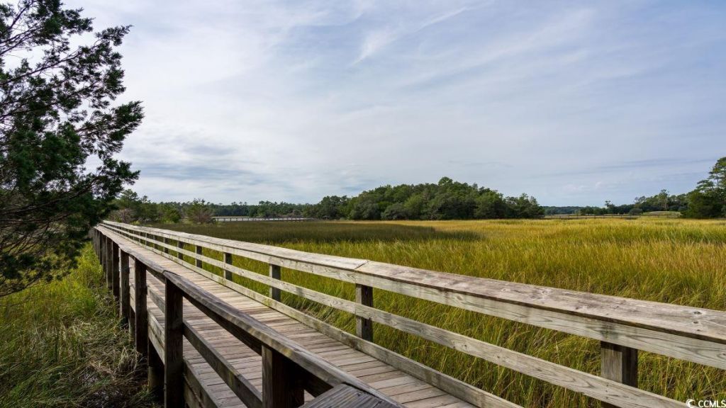 258 Ridley St Photo 30