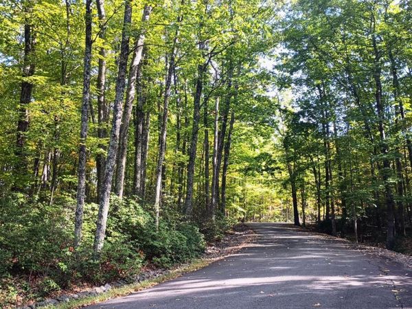 0 Oakcrest Lane, Nellysford, VA 22958