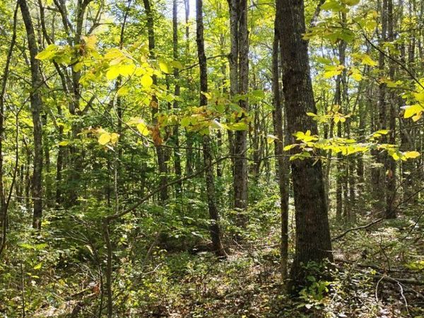 2 Bicknell Road, Belmont, ME 04952