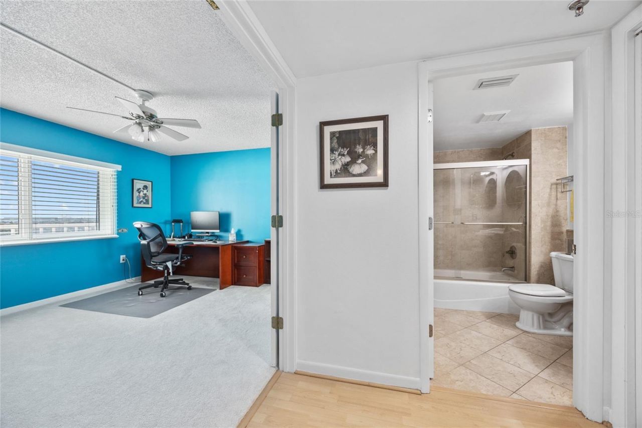 2 Adalia Avenue, Unit 807, Tampa, FL 33606 Photo