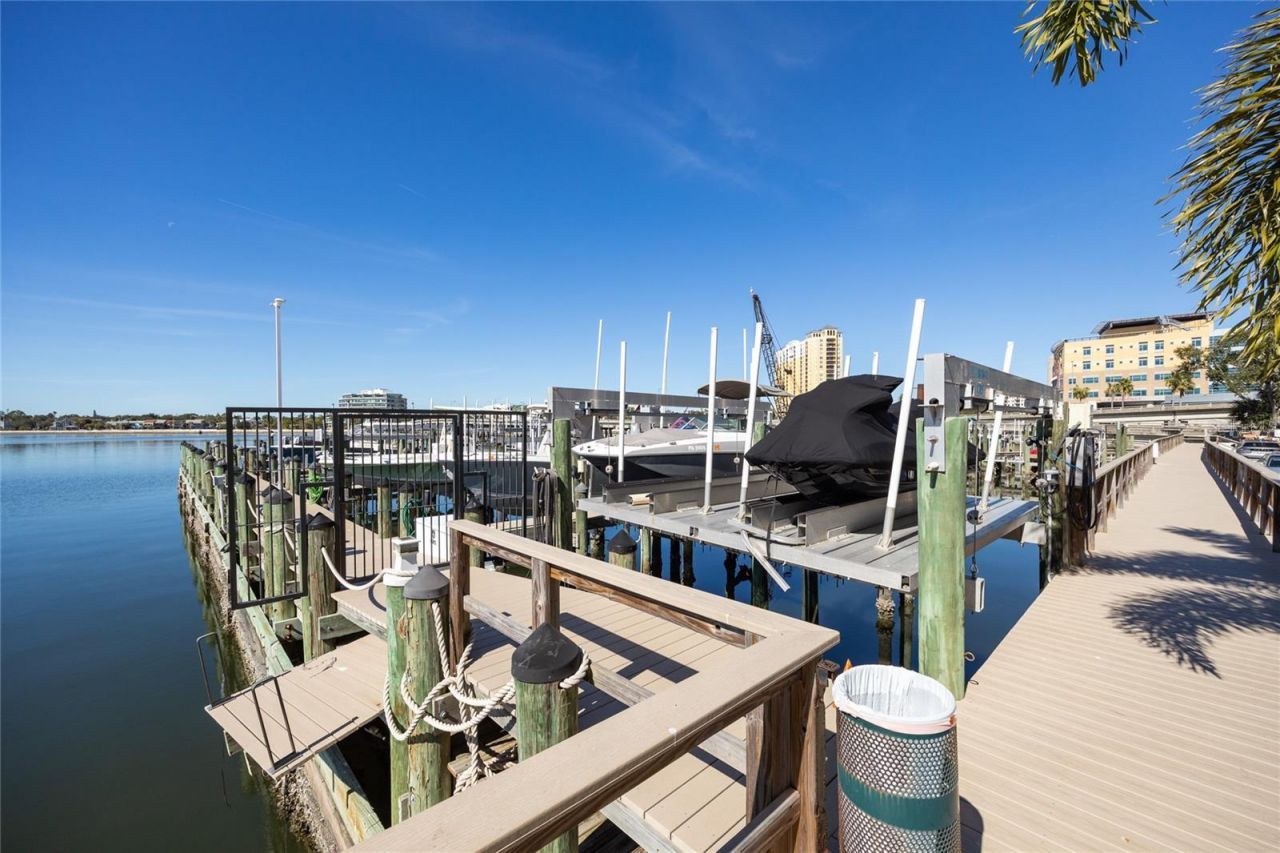 2 Adalia Avenue, Unit 807, Tampa, FL 33606 Photo