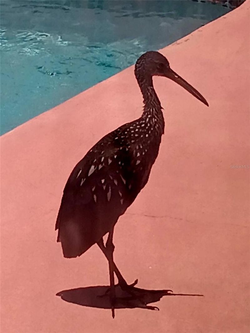 3001 Eden Mills Dr, Sarasota, FL 34237 Photo