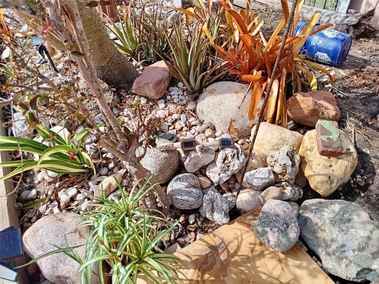 3001 Eden Mills Dr, Sarasota, FL 34237 Photo