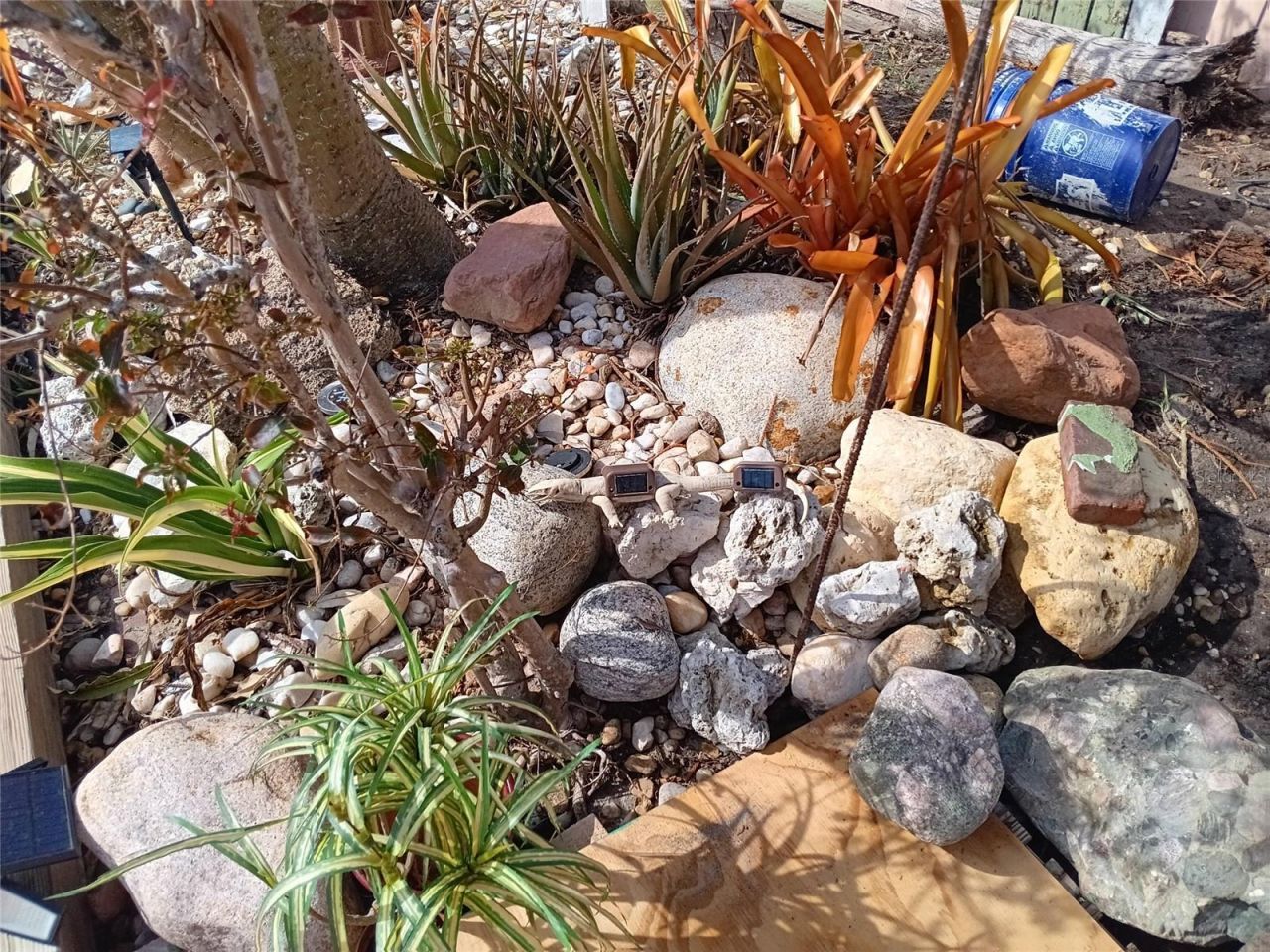 3001 Eden Mills Dr, Sarasota, FL 34237 Photo