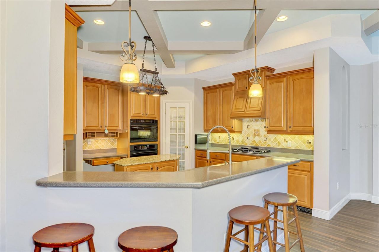 6610 Coopers Hawk Court, Lakewood Ranch, FL 34202 Photo