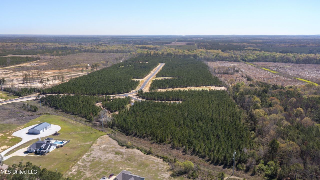 753 Freedom Ridge Lane, Brandon, MS 39047 Main Photo