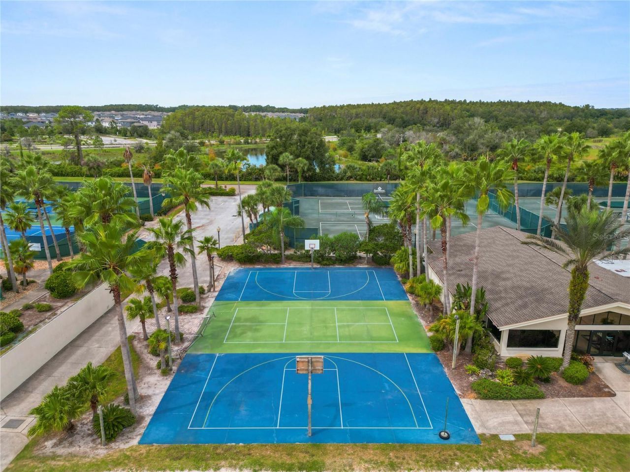 4947 Mill Pond Road, Unit 3103, Wesley Chapel, FL 33543 Photo