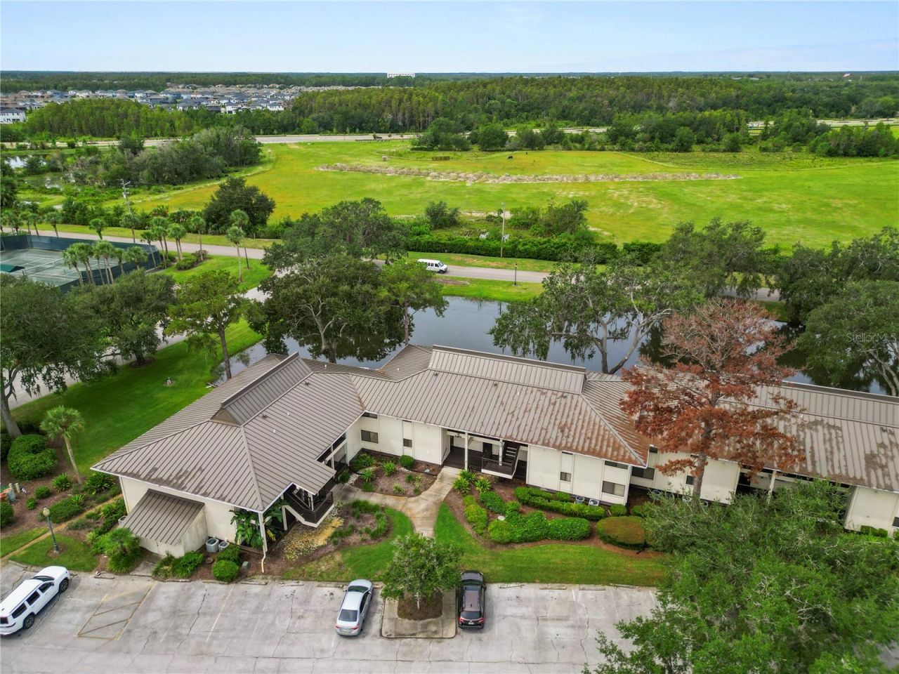 4947 Mill Pond Road, Unit 3103, Wesley Chapel, FL 33543 Photo