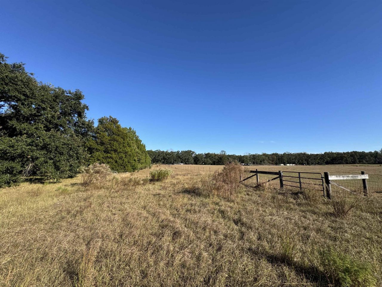 4862 NE Bellville Road, Pinetta, FL 32350 Photo