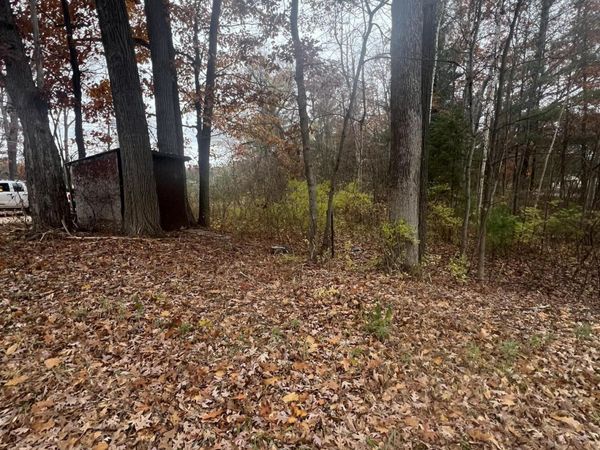 V/L 0.25A Main Street, Wellston, MI 49689