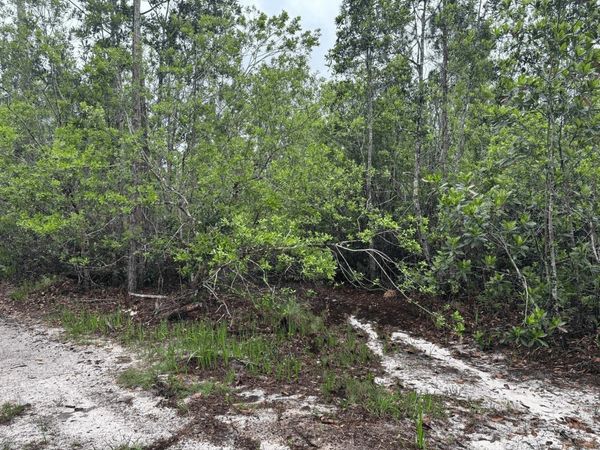 0 Holopaw Groves Road, St. Cloud, FL 34772