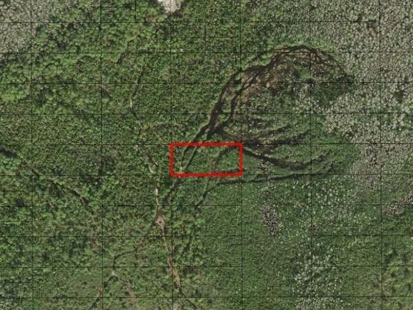 0 HOLOPAW GROVES RD, St. Cloud, FL 34772