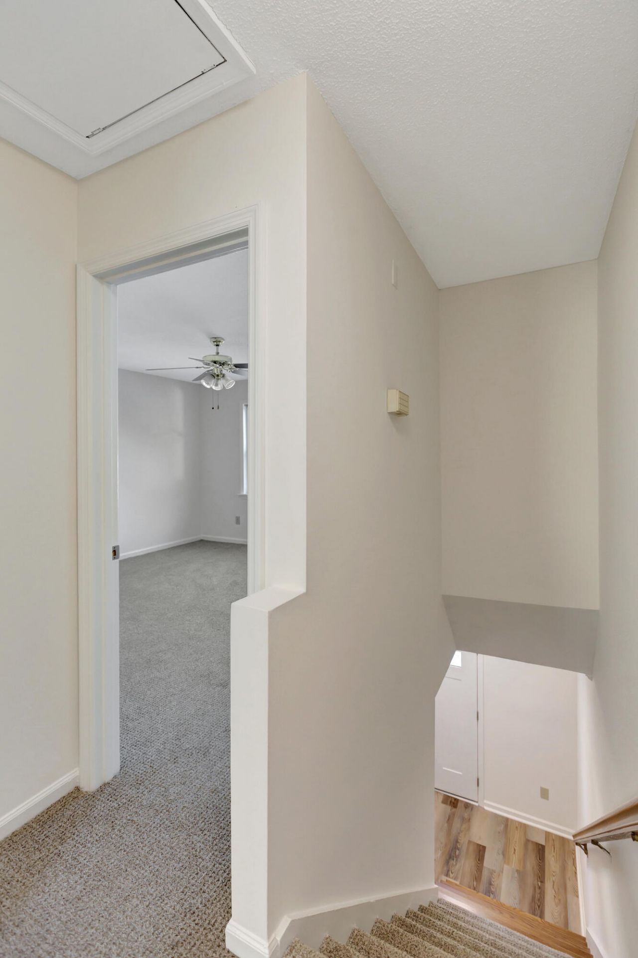 710 Davenport Drive Photo 21