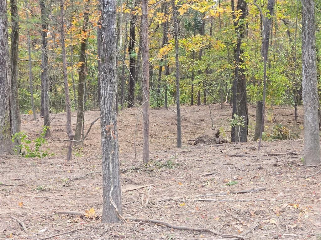 0 Lambert Street, Shreveport, LA 71119 Main Photo