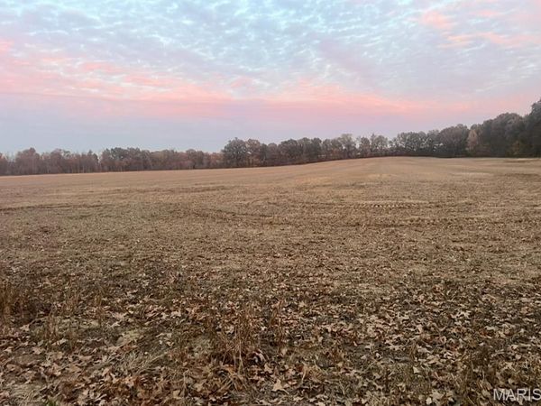 0 County Road 237, Bloomfield, MO 63825