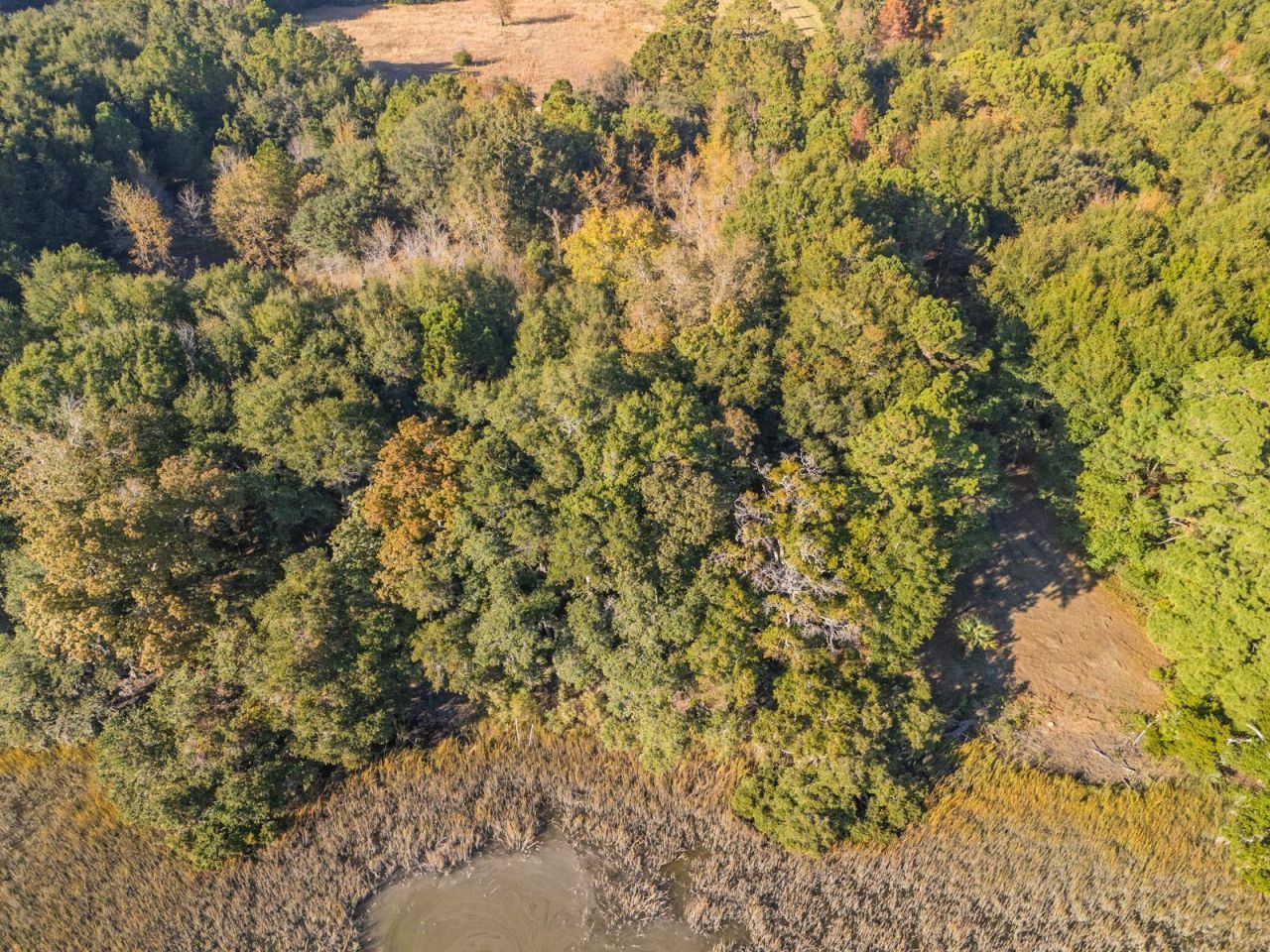 8356 Crooked Creek Lane Photo 15