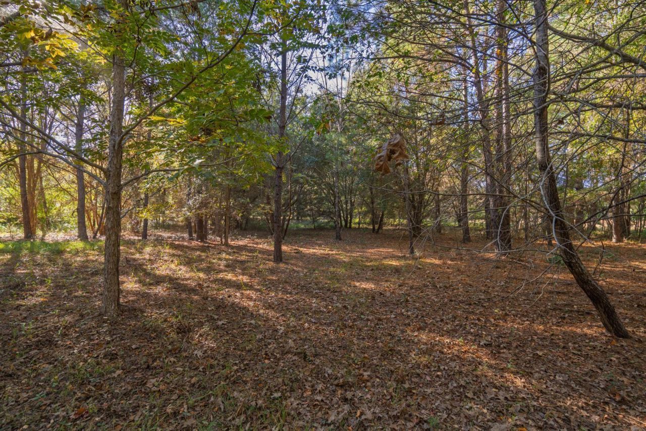 8356 Crooked Creek Lane Photo 20