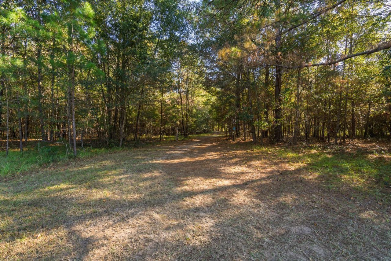 8356 Crooked Creek Lane Photo 22