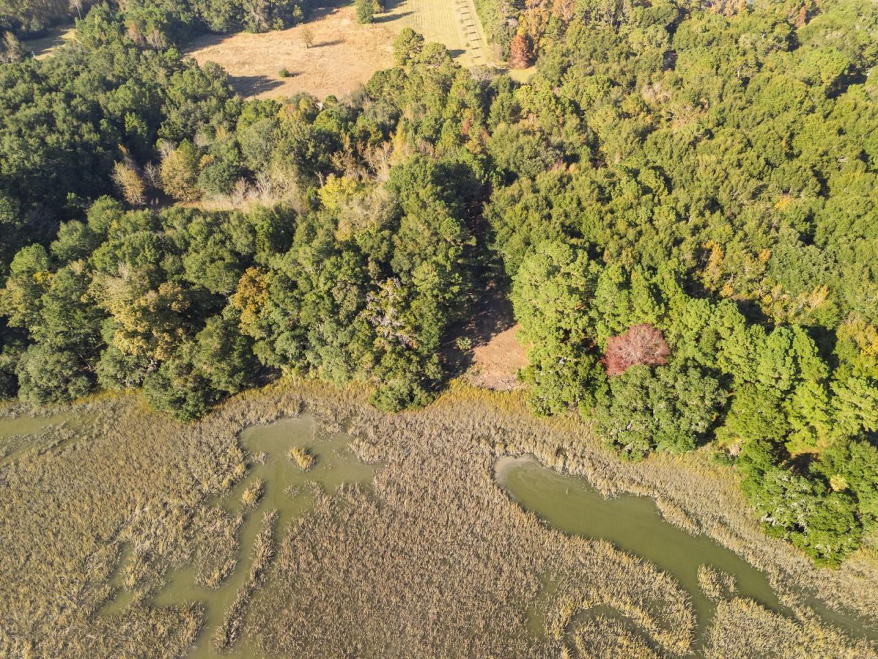 8356 Crooked Creek Lane Photo 23