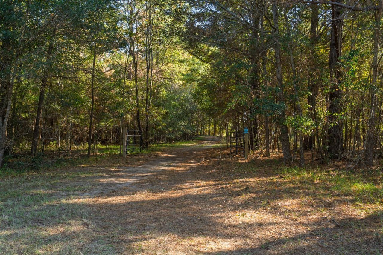 8356 Crooked Creek Lane Photo 24