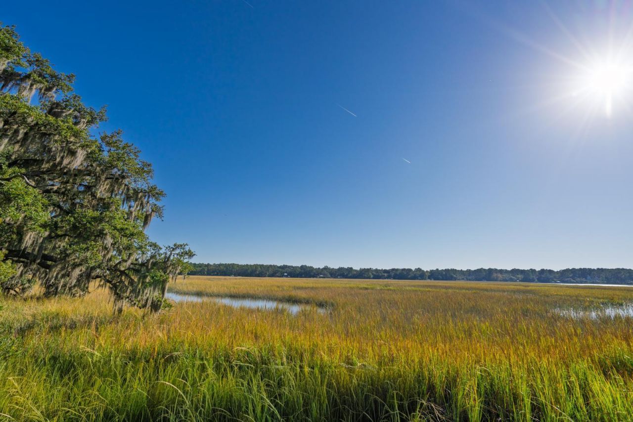 8356 Crooked Creek Lane Photo 26